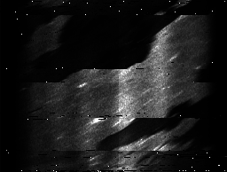 ascat_grayscale_ch1.png